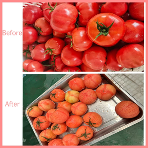 롱쿤 완전 자동 과일 및 채소 껍질 제거기 과일 가공 공장에 적합 시간당 1000 - 8000kg 처리 가능 - Product Image 3