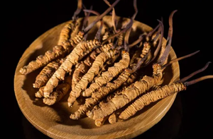 Amostra grátis <span class=keywords><strong>cordyceps</strong></span> <span class=keywords><strong>sinensis</strong></span> extrato <span class=keywords><strong>cordyceps</strong></span> <span class=keywords><strong>sinensis</strong></span> cogumelo - Product Image 4