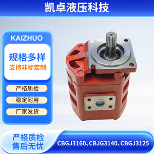 Pompe à engrenages hydraulique haute pression à montage sur bride quantitative CBGJ3160 CBJG3140 CBGJ3125 pour équipement hydraulique - Product Image 2