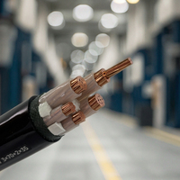 Cable reticulado con núcleo de cobre JDH GB, cable de cubierta de PVC ignífugo subterráneo de 2x4, 0,6/1kV cuadrado de 2x