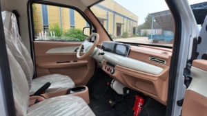 Véhicule électrique robuste personnalisé, camionnette électrique, voiture électrique à 4 roues, petit véhicule électrique - Product Image 5