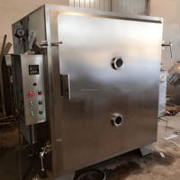 Hoogrenderende Fruitgroenten Vacuümdroogmachines Industriële Vacuümbakdroger Vacuümoven Heteluchtdroogmachine