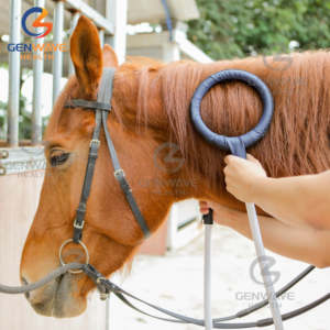 24700 Pemf Gauss Pemf Therapy dispositivo per terapia con cavalli facile da usare per apparecchi per raschiare il dolore muscolare - Product Image 5