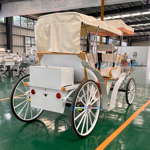 Carruaje Turístico Personalizado Eléctrico o a Caballo con Toldo para Parques y Atracciones, Nuevo Estilo - Product Image 3