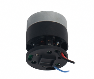 Proveedor de China, <span class=keywords><strong>motor</strong></span> de CC sin escobillas de 45mm y 120000rpm para aspiradora - Product Image 3