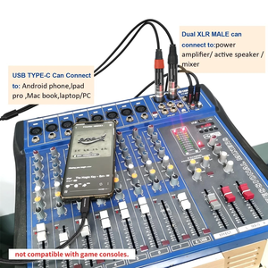 Adaptador USB Tipo C a 2 <span class=keywords><strong>XLR</strong></span> Macho, Salida Estéreo, Amplificador, Conversor de Altavoz, Cable - Product Image 6