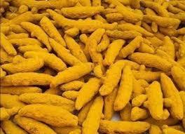 Cúrcuma orgánica Dedos Curcuma Longa Haldi Especias Extracto en polvo Cúrcuma seca/Curcumina por fabricantes de cultivo Exportadores - Product Image 4