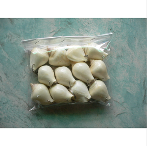 Llavero Ecológico para Monedas con Diseño de Concha Marina y Serigrafía Simple - Product Image 3