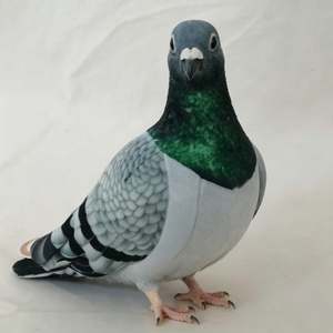 Peluche de pigeon de course personnalisée, peluche de pigeon gris, peluche de pigeon réaliste, animal en peluche pigeon voyageur - Product Image 5