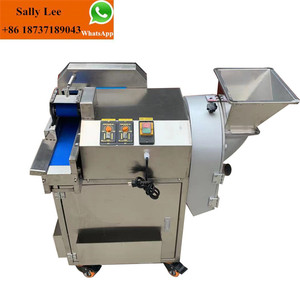 Băng Tải Cấp Thực Phẩm Máy Cắt Lát Trái Cây Rau Củ + 8618737189043 - Product Image 4