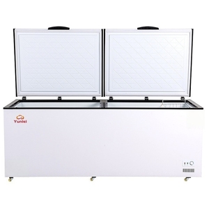 厂家直销<span class=keywords><strong>BC</strong></span>/<span class=keywords><strong>BD</strong></span>-598 598l冷柜节能双门优质冷柜 - Product Image 6