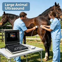 Appareil d'échographie vétérinaire portable Rayman avec sonde convexe/linéaire/rectale pour scanner les animaux gestants (bovins, chevaux)