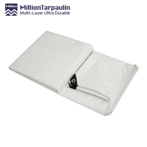 Bâche en PE MILLION pour abri de poulets, hangar avicole, prix abordable, couleur blanche, durable, en vente - Product Image 2