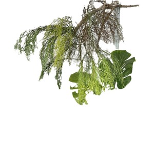 Branche de saule artificielle avec bourgeons en caoutchouc souple, 30cm-100cm, plante verte suspendue d'intérieur, décoration de plafond, accessoires de photographie - Product Image 5