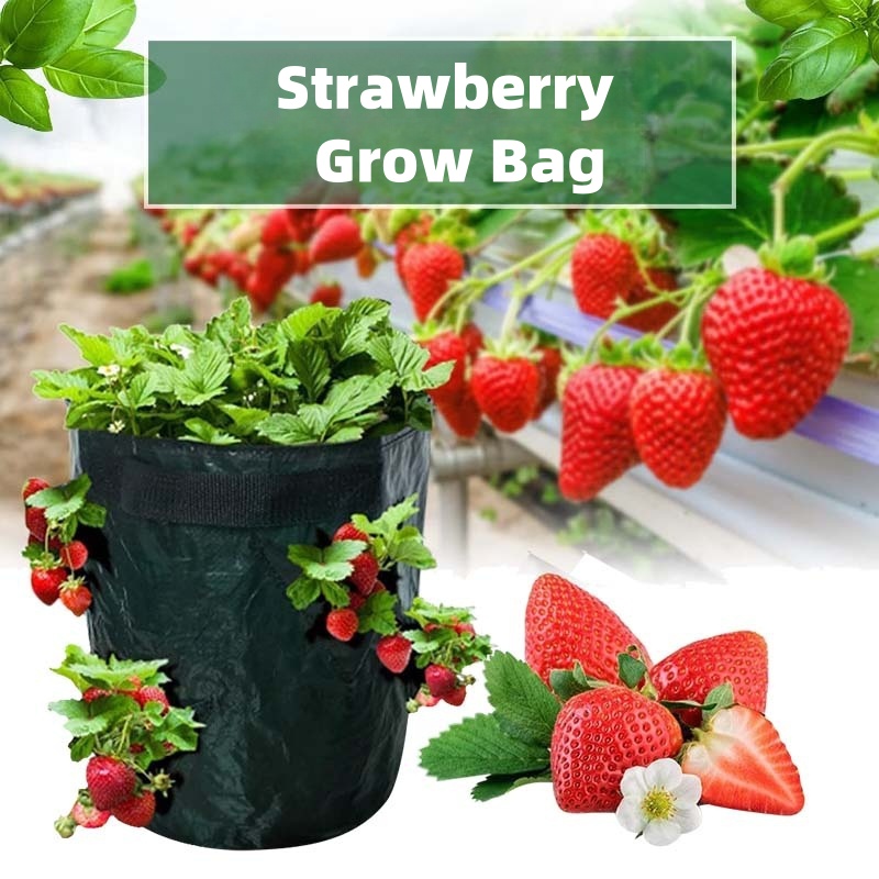 Factory Wholesale Garden Planting 5/7/10 Gallon Waterproof PE Strawberry  Grow Bag| Alibaba.com