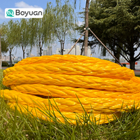 Cuerda de elevación Boyuan de 14 mm UHMWPE trenzada de 12 hebras, cuerda de arrastre de máxima resistencia, cuerda de vela marina para yates