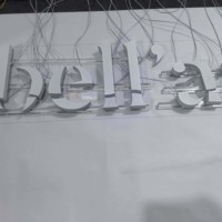 Lettres rétroéclairées en acier inoxydable 304 peintes par pulvérisation haut de gamme, enseigne personnalisée avec logo rétroéclairé exquis pour magasin de luxe et hôtel