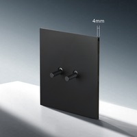Interrupteur à bascule mural 86 à bouton-poussoir, double pôle, prise universelle UK13A, USB-C, en acier inoxydable noir, 16A, pour maison européenne