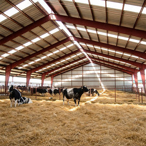 Bâtiment <span class=keywords><strong>commercial</strong></span> en structure acier préfabriqué sur mesure pour élevage, à vendre - Product Image 5