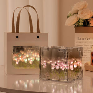 Lámpara <span class=keywords><strong>de</strong></span> tulipanes infinitos <span class=keywords><strong>de</strong></span> cubo creativo al por mayor, ramo <span class=keywords><strong>de</strong></span> tulipanes hecho a mano, espejo <span class=keywords><strong>de</strong></span> flores, luz <span class=keywords><strong>de</strong></span> noche Led <span class=keywords><strong>para</strong></span> niña - Product Image 1