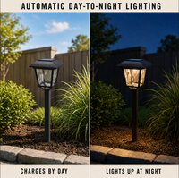 Lampe solaire de jardin résistante à l'eau pour l'extérieur, lumière LED pour aménagement paysager