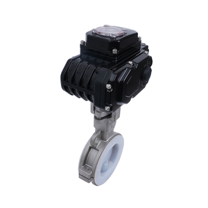 Válvula, Apta para Entornos con Ácidos y Álcalis Fuertes - Product Image 1