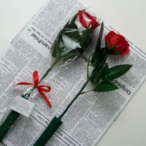 Vente en gros de roses lumineuses artificielles rouge royal avec lumière LED pour la décoration intérieure Ensemble de fleurs pour la nuit et la Saint-Valentin