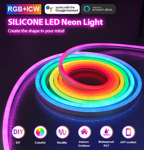 卸売 装飾照明 シリコン ネオンランプ リモート音声制御 フレキシブル レインボー IP65 SMD 24V スマートLED RGB ネオンロープライト - Product Image 4