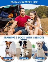 Wiederaufladbares Umweltfreundliches Plastik-Hundeagility-Trainingshalsband IP67 Wasserdicht 3300ft Reichweite Vibrierendes Signal 5-120 Pfund Alle Rassen
