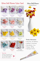 Getrocknete Silberglockenblumen-Stiele Handgefertigte Natürliche Getrocknete Blumen Echte Konservierte Blumen-Arrangements 10 Stiele Muttertag Hochzeit