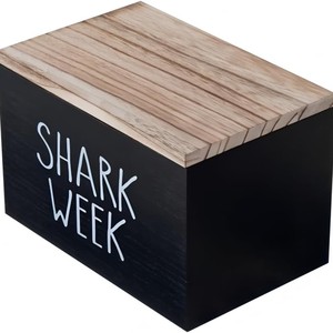 Caja de almacenamiento de madera con tapa abatible, organizador compartimentado de 20x13x13cm para baño, cocina, escritorio, uso decorativo - Product Image 3