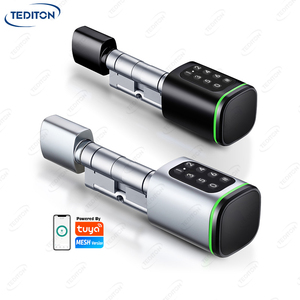 Thông Minh Thông Minh Phong Cách Châu Âu Hợp Kim Kỹ Thuật Số Tuya Mật Khẩu Tự Động Keyless Cửa Khóa Nhà Chốt Cửa Xi Lanh Cửa Khóa - Product Image 5