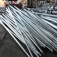 Poste de Luz de Acero Galvanizado en Caliente Cishine para Exteriores, de 8m y 9m, con Brazo Curvo Simple o Doble, Precio de Poste para Alumbrado Público en Carreteras y Autopistas
