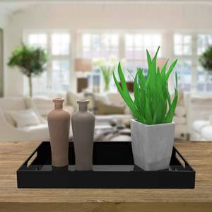 Grand plateau de service noir en acrylique, présentoir décoratif, plateau de coiffeuse avec poignée - Product Image 3