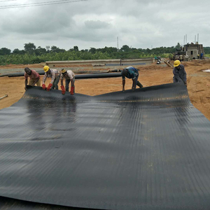 Tấm Lót Đập Tưới Tiêu Chất Lượng Polyethylene Mật Độ Cao Tấm Lót Ao Nuôi Tôm Cá Nuôi Trồng Thủy Sản Màng Địa Kỹ Thuật 2Mm Mịn HDPE - Product Image 2