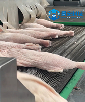 Système de congélation rapide en tunnel IQF pour volailles à forte capacité de charge, congélateur continu pour cuisses et quartiers de poulet, viande