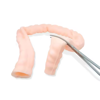 Modèle de formation en coloscopie médicale - Organisme colique simulé souple pour l'enseignement et la pratique des compétences Henan Zhizao Modèle 01