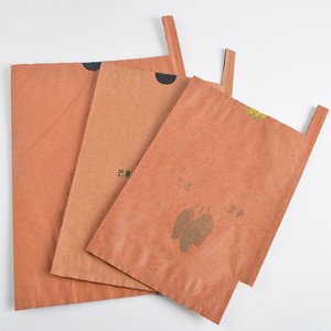 Bolsa <span class=keywords><strong>de</strong></span> Papel Kraft Protectora <span class=keywords><strong>de</strong></span> Doble Capa para <span class=keywords><strong>Mango</strong></span>, Embalaje Desechable para Frutas, Cultivo <span class=keywords><strong>de</strong></span> Vegetales, Semillas, Maíz, Manipulación <span class=keywords><strong>de</strong></span> Superficies Enceradas - Product Image 2