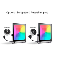 Tuya Smart IP65 Étanche 20W 50W 80W Extérieur RGB Projecteur Dimmable Télécommande Projecteur