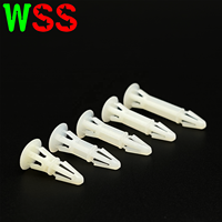 40 ans d'usine Injection plastique plastique Entretoise linéaire Clipser PCB Spacer PCB Spacer Nylonlock In