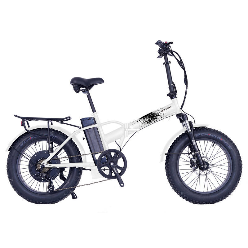250watt Electric Bike High Performance 48V 20