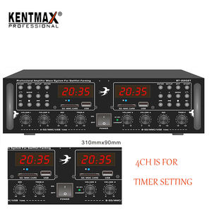 20W 4CH Temporizador Configuración Amplificadores híbridos Swiftlet Mini Home <span class=keywords><strong>Audio</strong></span> BT Amplificador para uso <span class=keywords><strong>Nest</strong></span> - Product Image 3