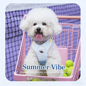 Arnés Personalizado para Perro con Bordado, Arnés Ajustable para Mascotas, Fácil de Usar, Sin Estrangulamiento - Product Image 4