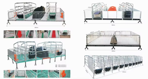 Équipement d'élevage pour porcs : Étables <span class=keywords><strong>de</strong></span> gestation à structure renforcée avec barrières <span class=keywords><strong>de</strong></span> limitation, pour l'élevage au sol - Product Image 6