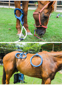 Macchina di terapia del cavallo di promozione equino sollievo dal dolore PMST LOOP PEMF dispositivo di terapia magnetica del cavallo macchina per la terapia del magnete del fisico - Product Image 6
