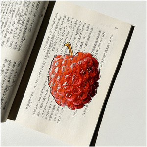 Segnalibri in Acrilico Trasparente a Forma di Frutta, Simpatici Segnalibri Realistici a Fette, Regali Creativi per Amanti dei <span class=keywords><strong>Libri</strong></span> - Product Image 4