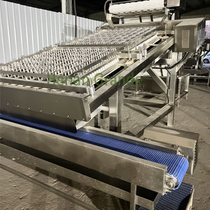 Máquina Peladora y Clasificadora de Langostas, Camarones y Langostinos Frescos/Máquina Peladora de Camarones Blancos/Máquina Peladora de Langostas - Product Image 4