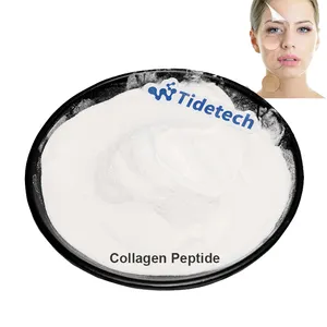 Tidetech Bột Collagen Nguyên Liệu Thô Collagen Thủy Phân Peptide Cho Thể Hình Chống Lão Hóa