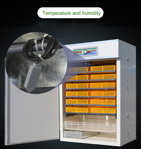 Nouvel incubateur automatique <span class=keywords><strong>Gongle</strong></span> GL-1056 pour œufs de volaille, capacité de 88 à 14784 œufs, alimentation solaire/électrique, pour œufs de poulet - Product Image 2