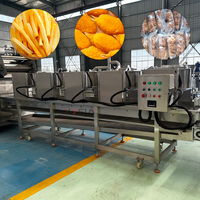Energiebesparende continue mesh-band friteuse complete productielijn voor de verwerking van diepvriesgebakken voedsel